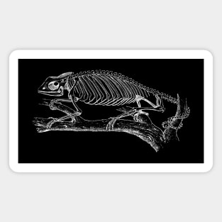 Chameleon Skeleton Magnet